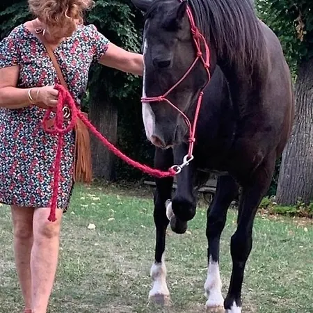 A La Belle Epoque 3* Вальдеблор